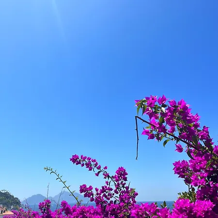 Dom wakacyjny Le Terrazze Massa Lubrense