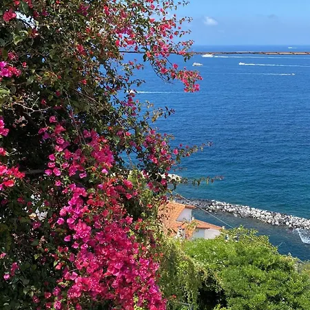 Dom wakacyjny Le Terrazze *